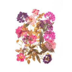 Läbipaistvad kleebised – Hortensiad ja roosid 12tk